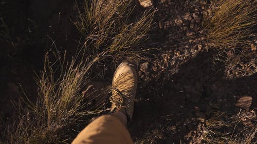 有关冒险家, 娱乐, 小路的免费素材视频