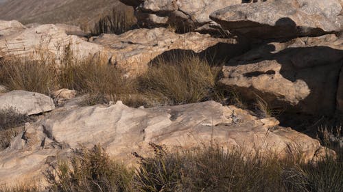有关冒险家, 娱乐, 小路的免费素材视频