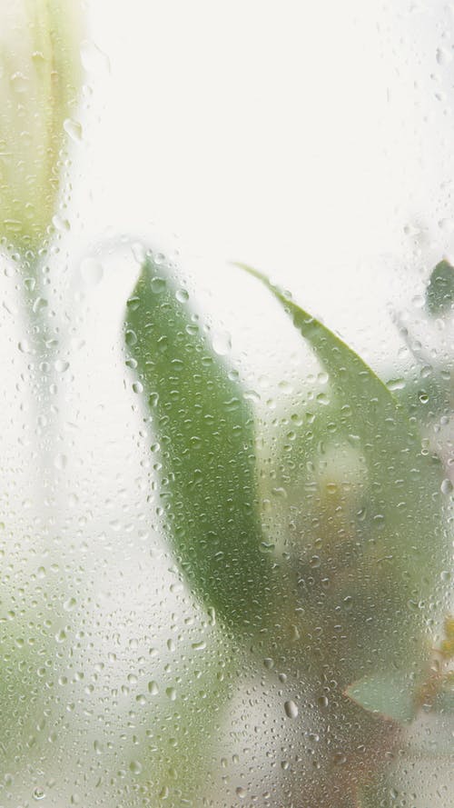 有关垂直视频, 塑胶, 工厂的免费素材视频