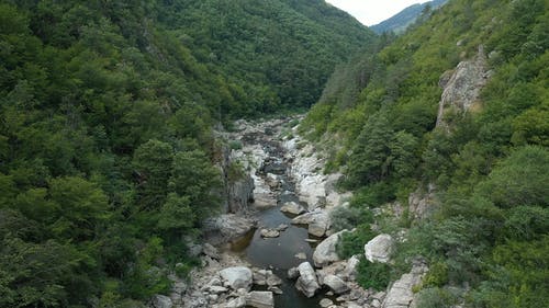 有关@户外, 和平的, 多莉射击的免费素材视频