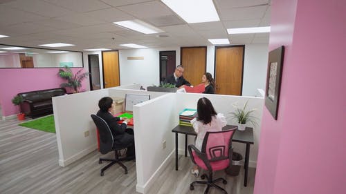 有关促销, 同事, 大的免费素材视频