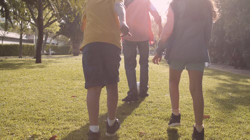 有关人, 公园, 女孩的免费素材视频