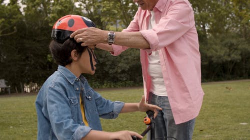 有关休闲, 保护, 公园的免费素材视频