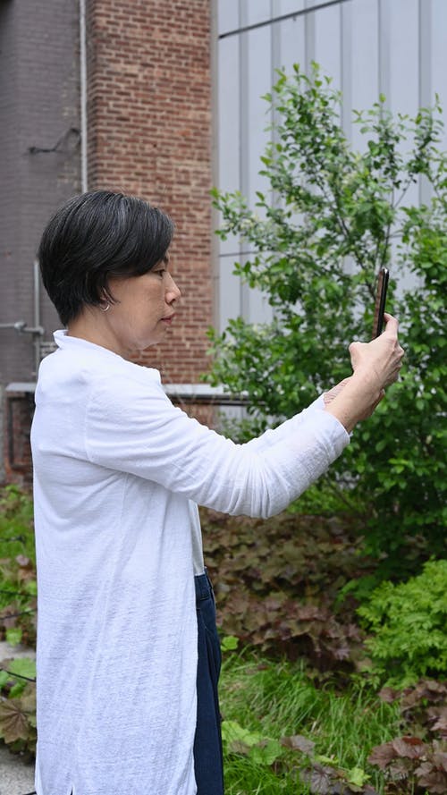 有关垂直视频, 女人, 工厂的免费素材视频