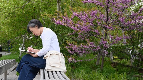 有关公园, 天性, 女人的免费素材视频