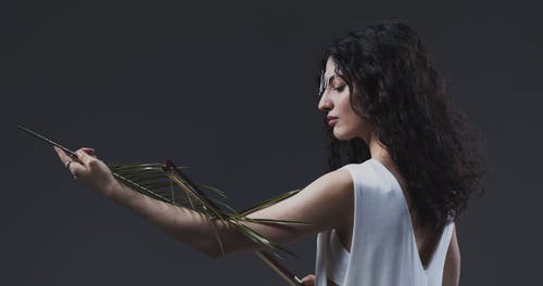 有关信心, 出现, 勾引的免费素材视频