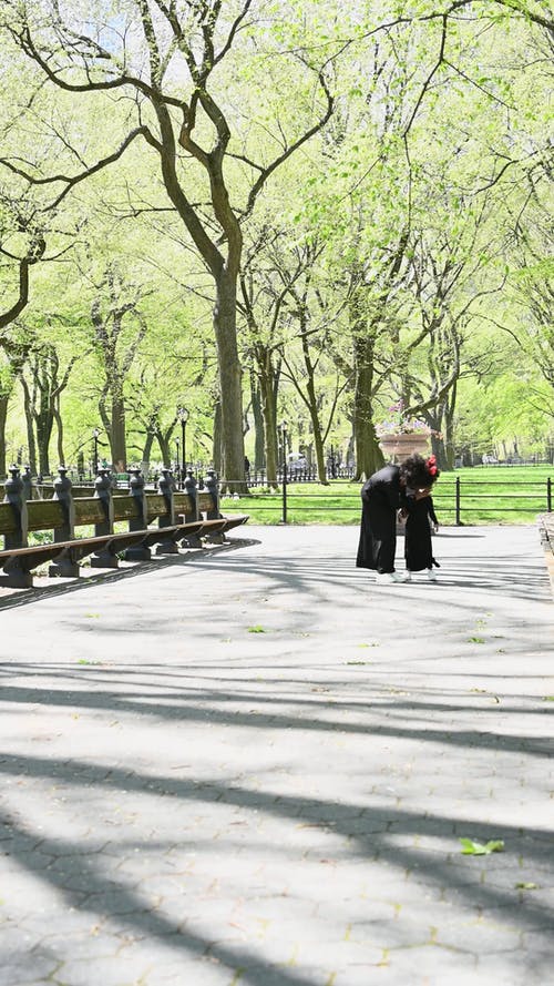 有关一起, 公园, 匹配的免费素材视频