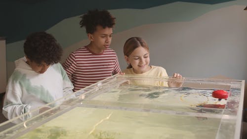 有关多样化, 多种族, 水族馆的免费素材视频