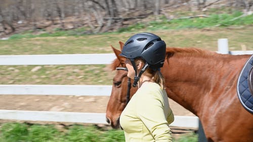 有关@户外, 一起, 全景的免费素材视频