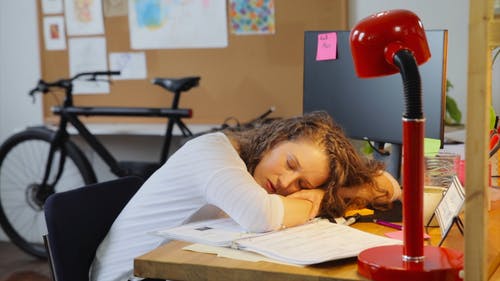 有关业务启动, 女人, 室内的免费素材视频