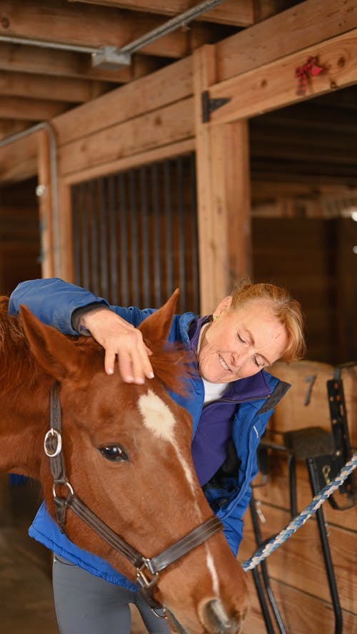 有关人, 动物, 垂直视频的免费素材视频