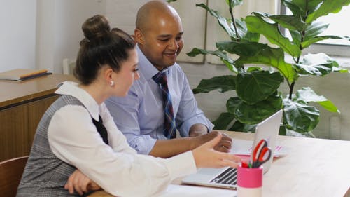 有关业务启动, 人, 团队的免费素材视频