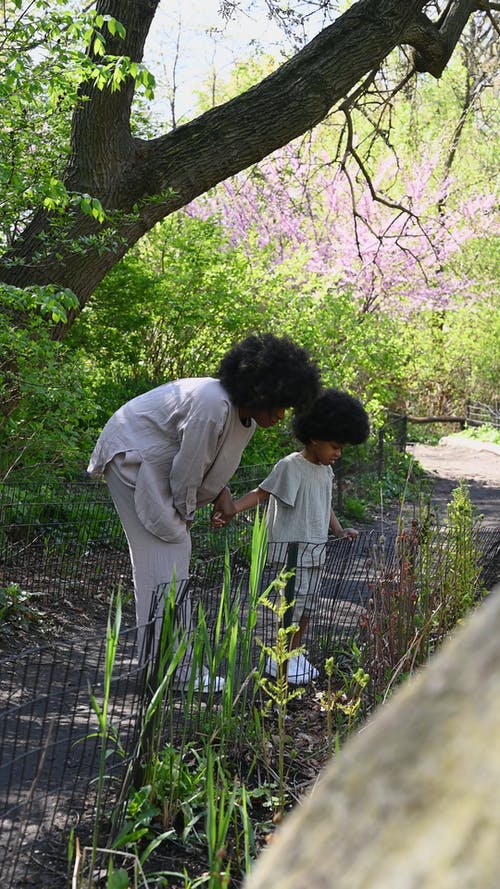 有关人, 儿童, 垂直视频的免费素材视频