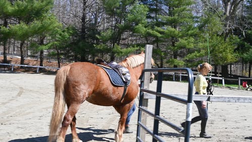 有关@户外, 全景, 利益的免费素材视频
