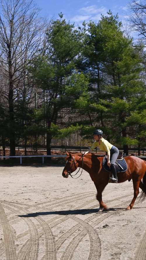 有关垂直视频, 女人, 娱乐的免费素材视频