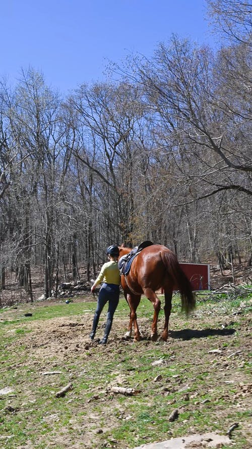 有关@户外, 一起, 垂直视频的免费素材视频