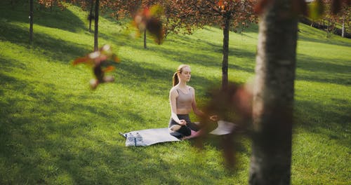 有关休闲, 健康, 公园的免费素材视频