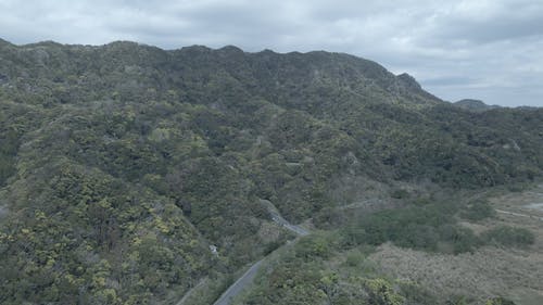 有关4k, 天性, 日本的免费素材视频