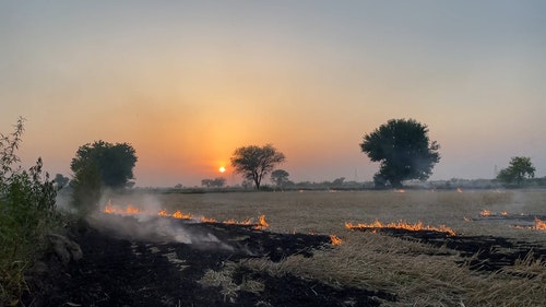 有关@户外,抽烟,日落的免费素材视频