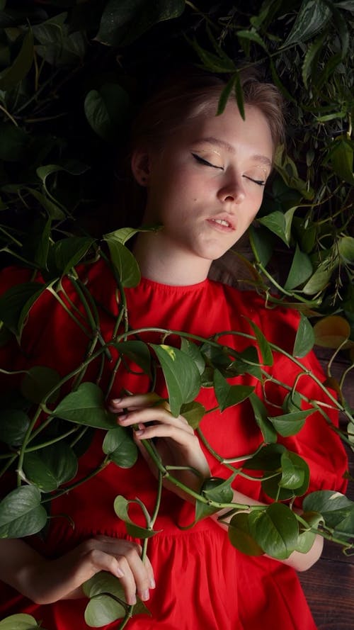 有关优雅, 光鲜亮丽, 包裹的免费素材视频