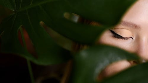 有关女人, 工厂, 模糊的免费素材视频