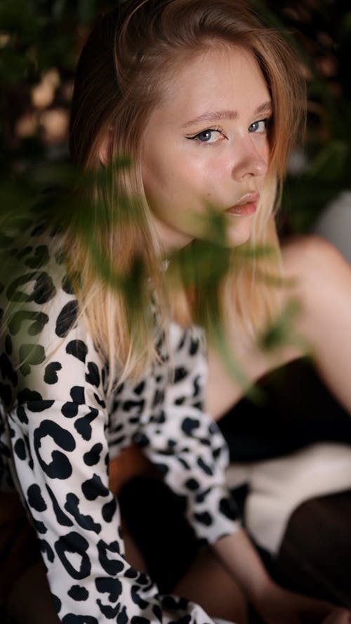 有关优雅, 光鲜亮丽, 前景的免费素材视频