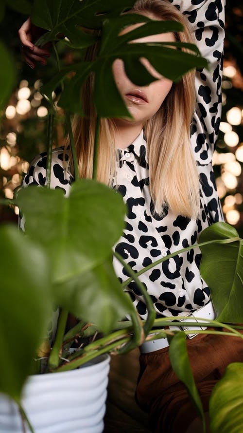 有关优雅, 光鲜亮丽, 前景的免费素材视频