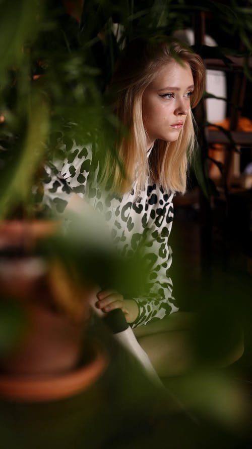 有关优雅, 光鲜亮丽, 前景的免费素材视频