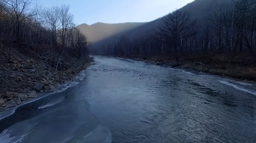 有关天性, 水流动, 水体的免费素材视频