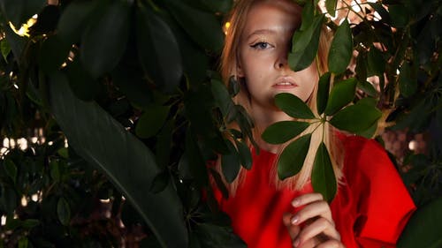 有关优雅, 光鲜亮丽, 女人的免费素材视频