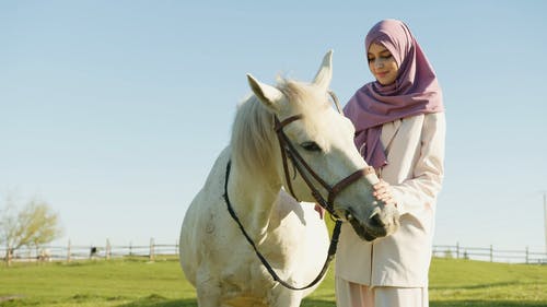 有关动物, 哺乳动物, 女人的免费素材视频
