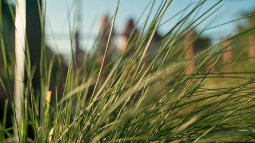 有关一对, 一起, 假期的免费素材视频