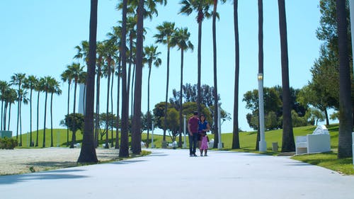 有关一起, 享受, 假期的免费素材视频