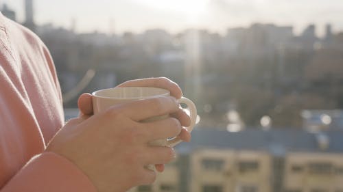 有关咖啡, 喝, 太阳光线的免费素材视频