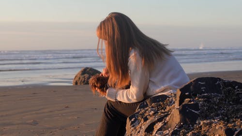 有关一起, 卵石, 品种的免费素材视频