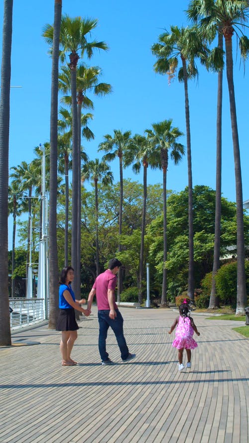 有关人, 休闲, 假期的免费素材视频