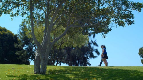 有关一起, 公园, 城市的免费素材视频