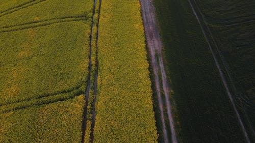 有关农业用地, 农田, 泥路的免费素材视频