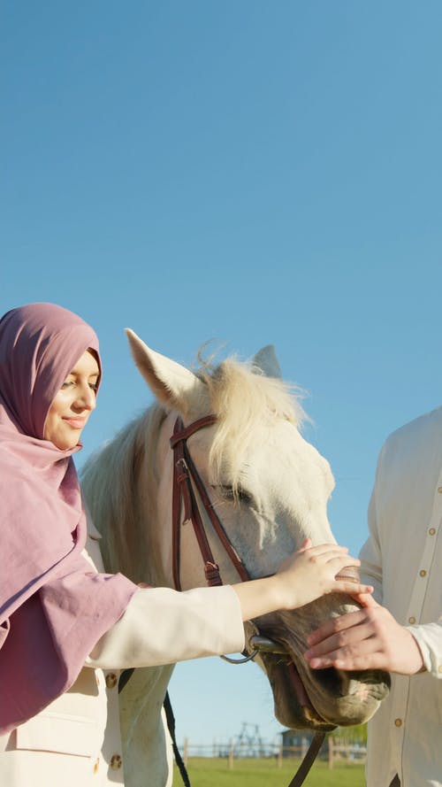 有关一对, 人, 可爱的免费素材视频