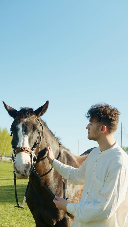 有关人, 动物, 哺乳动物的免费素材视频