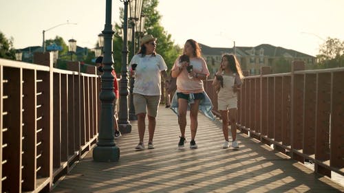 有关一对, 一起, 公园的免费素材视频