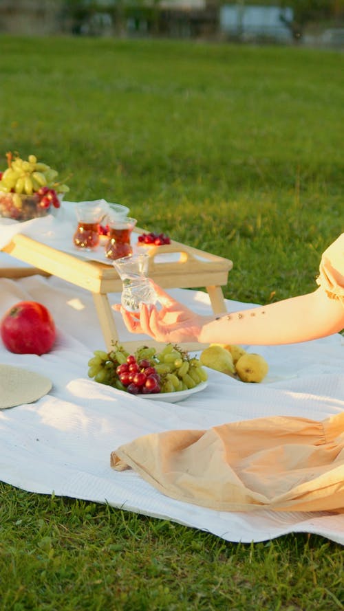 有关公园, 垂直视频, 户外的免费素材视频