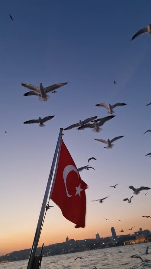 有关土耳其国旗, 垂直视频, 广角拍摄的免费素材视频