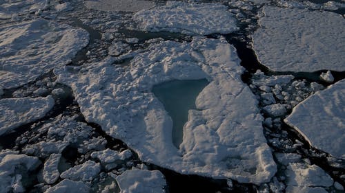 有关@户外, 冬季, 冷的免费素材视频
