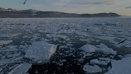 有关fpv无人机画面, 冬季, 天性的免费素材视频
