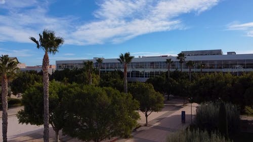 有关mavic无人机, 大学, 天空的免费素材视频