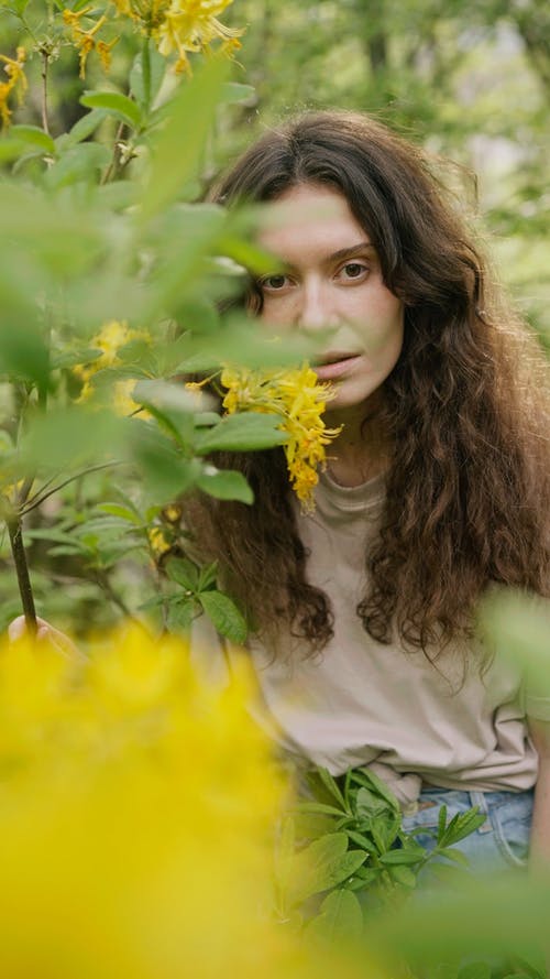 有关休闲, 公路旅行, 博霍的免费素材视频