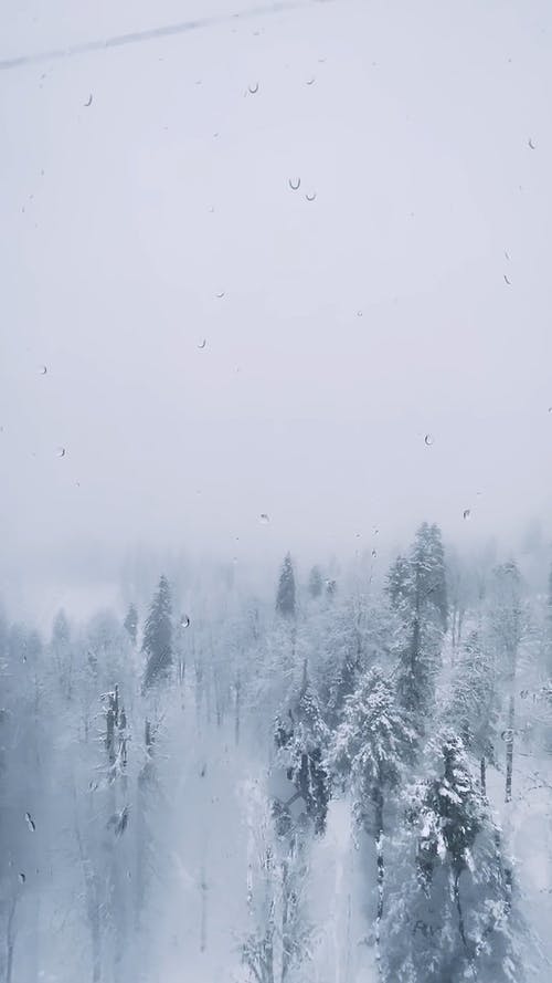 有关下雪的, 冬季, 冷的免费素材视频