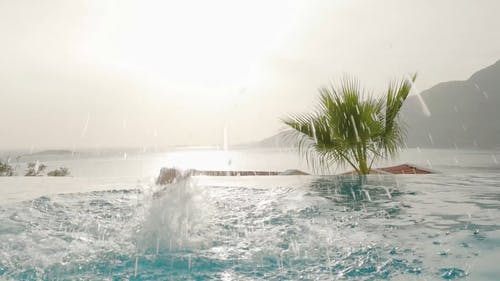 有关人, 俯瞰, 天性的免费素材视频