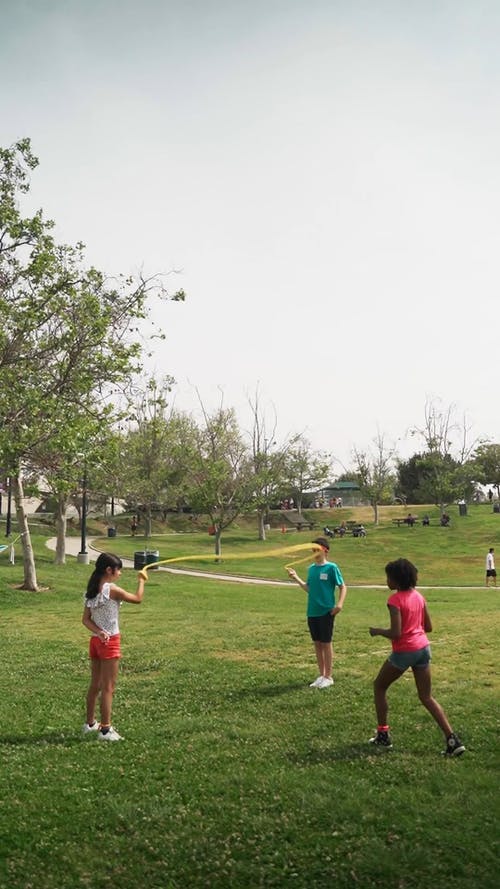 有关公园, 垂直视频, 夏天的免费素材视频